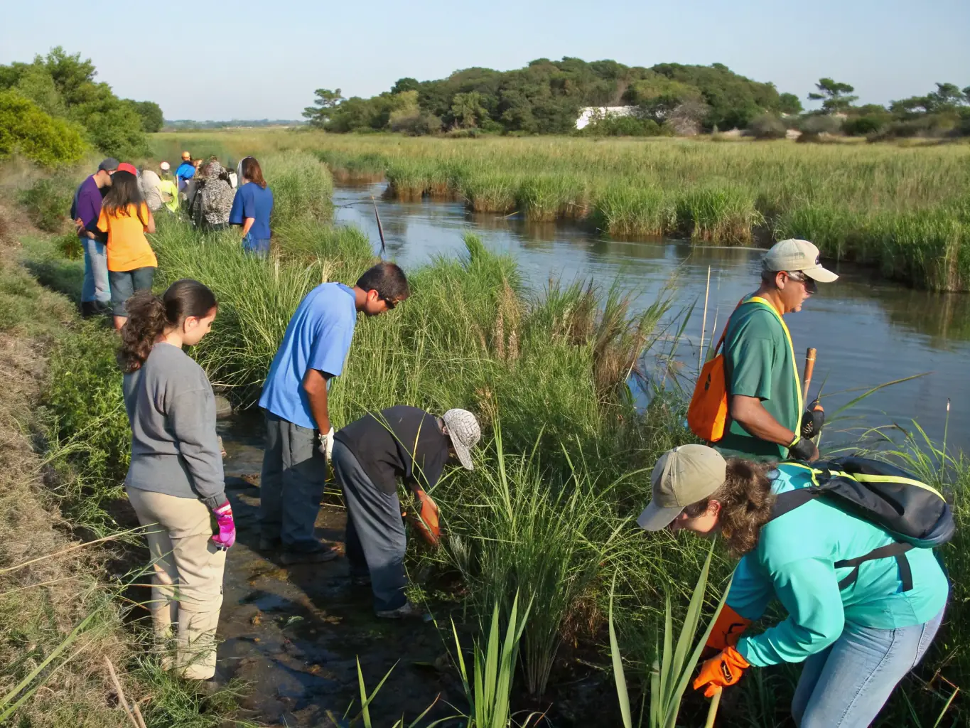 A team of volunteers planting native trees in a restored wetland area, with lush greenery and thriving wildlife in the background, showcasing the Ecosystem Restoration program.